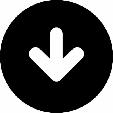 arrow alt circle down flat sign icon