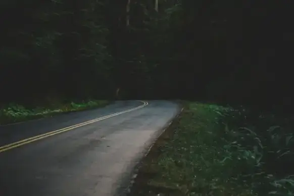 asphalt blur car countryside dark empty fog forest