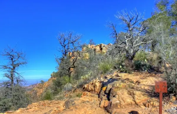at the trail junction at big bend national park texas