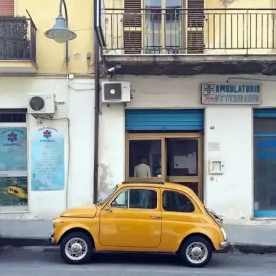 auto automobile bus car city drive pavement public