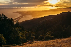 autumn cloud dawn dusk evening fall fog forest