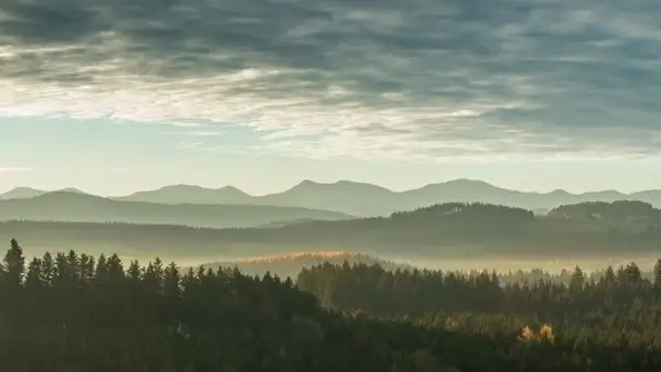 autumn cloud dawn evening fall fog forest landscape