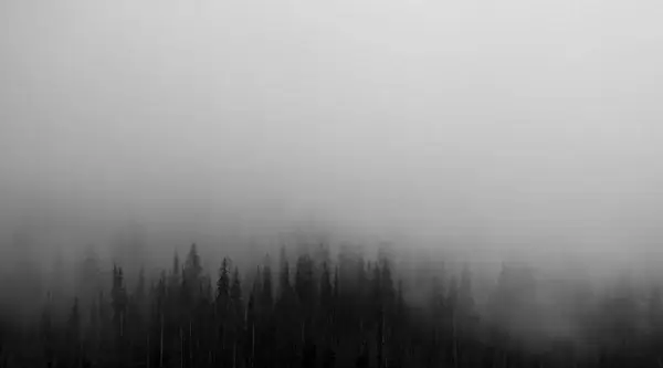 autumn cold dawn evening fall fog forest haze