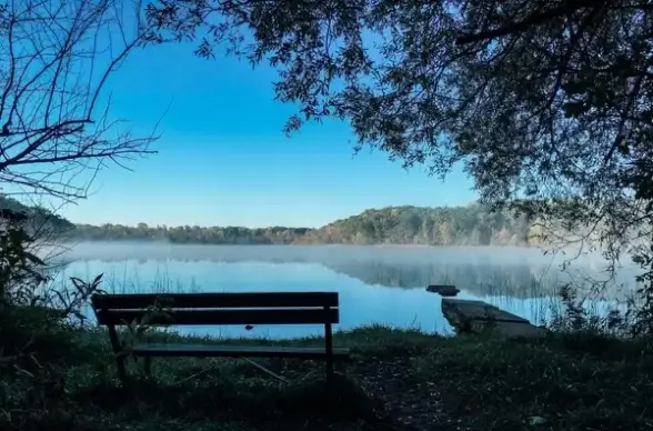 autumn cold fall fog lake landscape mist morning