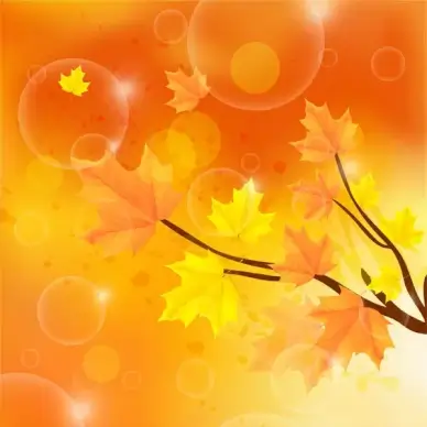 autumn color with tree branch and leaf background