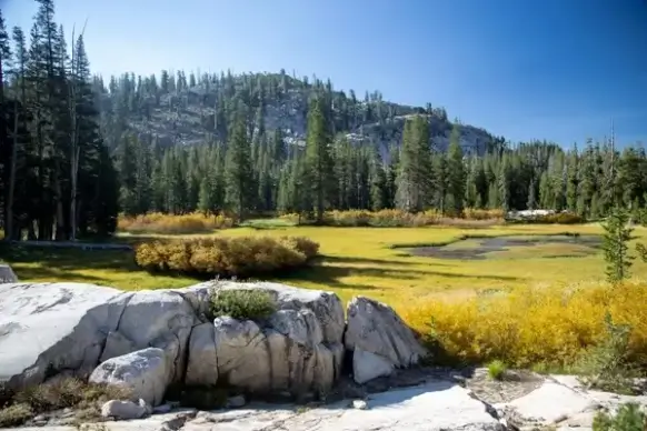 autumn daytime fall forest grass lake landscape