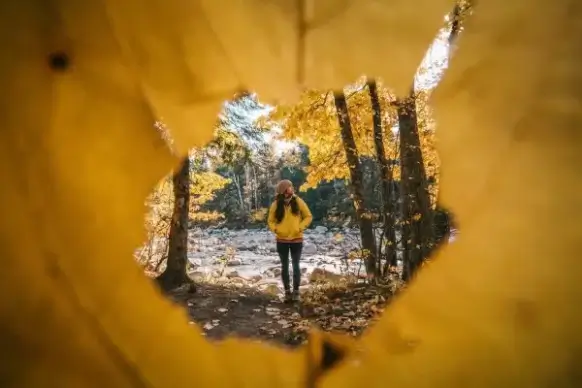 autumn hiker