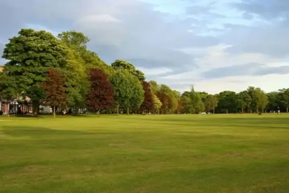 autumn in the park
