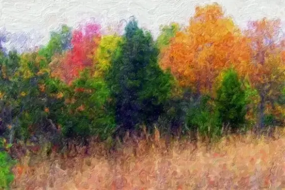 autumn landscape