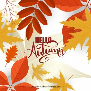autumn leaves background elegant bright colorful decor