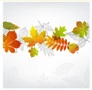 Autumn Leaves Border