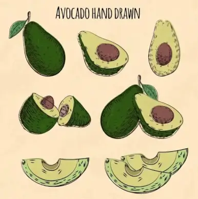 avocado icons various 3d shapes hand drawn sketch