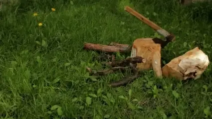 Axe