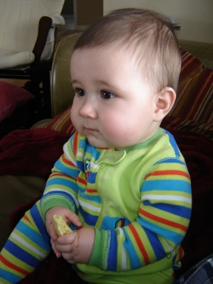 baby small child babies