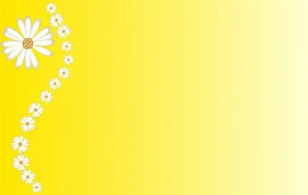 background beautiful beauty