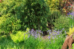 background botany color