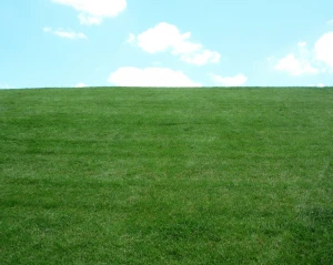 background canal district indianapolis