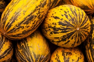 background food fresh