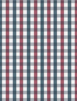 background patriotic red