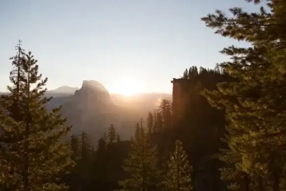 backlit dawn daytime evening fog forest landscape