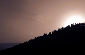 backlit dawn evening fog forest lake landscape