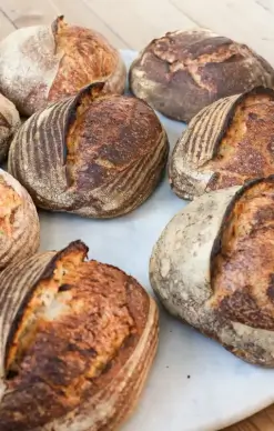bakery picture bread loaves on table