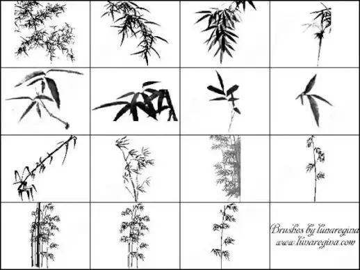 bamboo leaves brush