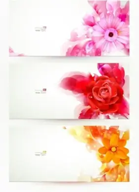 banner04gorgeous fashion pattern vector
