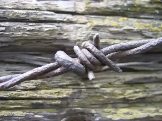 barb wire