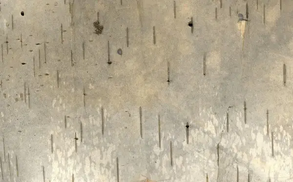 bark grunge background 2