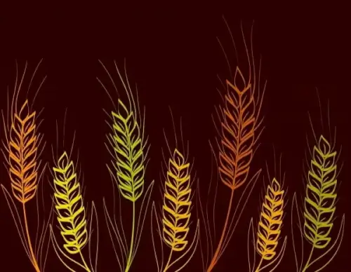barley background multicolored dark design handdrawn sketch