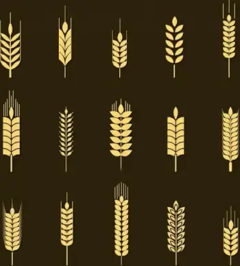 barley background yellow icons isolation