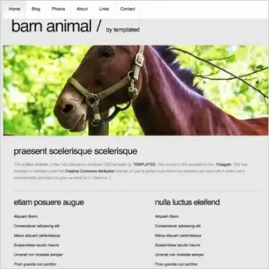 barnanimals