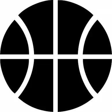 basketball ball sign icon flat symmetric circle shape