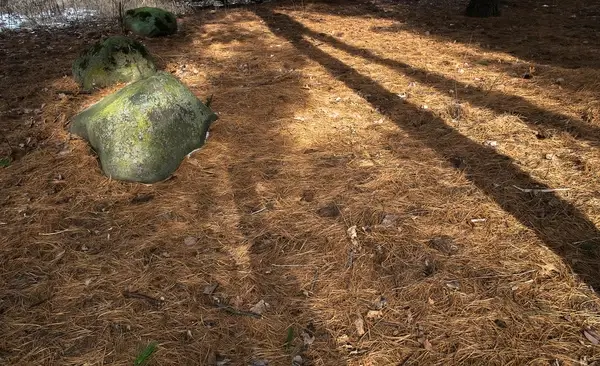 basking rock
