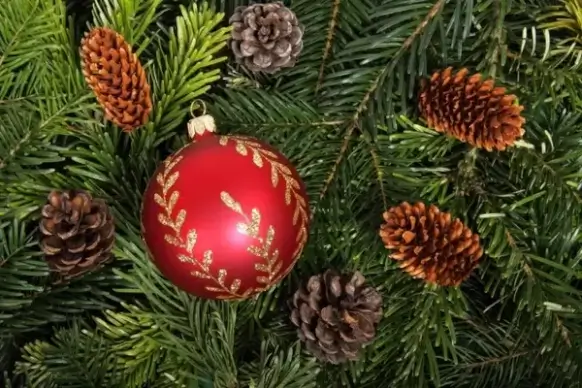 bauble on christmas tree background