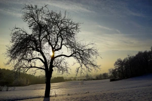 bavarian winter landscape