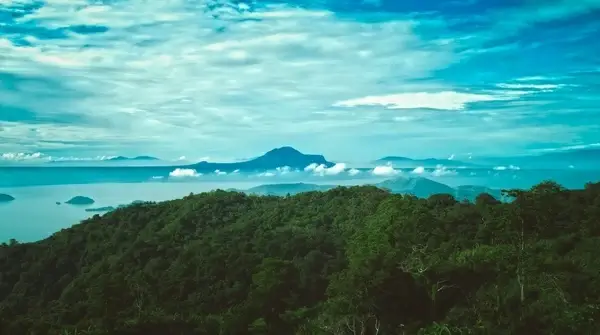 bay beach coast coastline daytime forest island