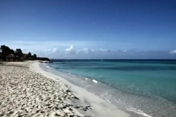 beach aruba sand beach