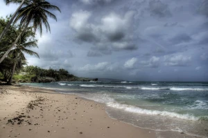 beach barbados