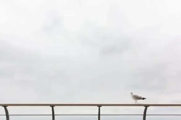 beach bench cloud fence lake landscape loneliness