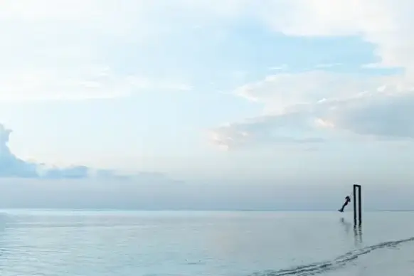 beach boat calm coast fog horizon lake landscape