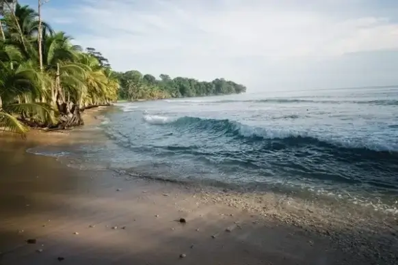 beach coast coastline daytime holiday island