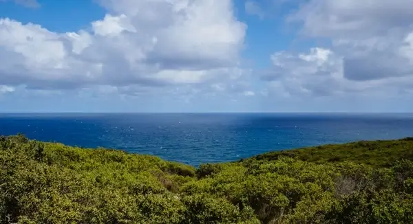 beach coast coastline daytime horizon idyllic island