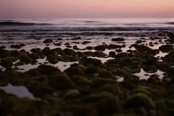 beach coast dusk evening landscape morning nature