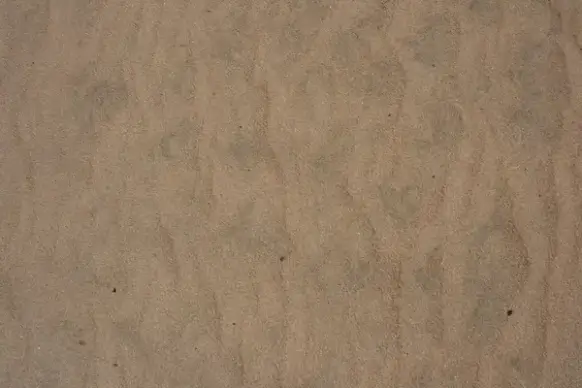 beach sand background