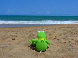beach sea sea ​​view