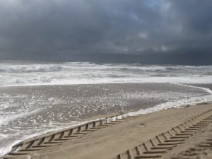 beach tire tracks sea