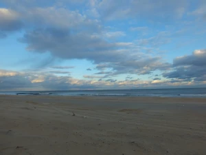 beach water ocean