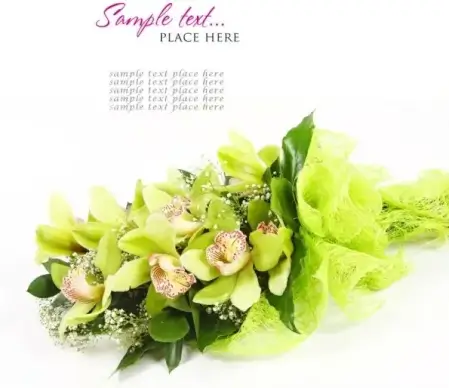 beautiful flowers and greeting cards 04 hd pictures